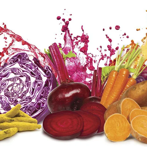 Natural Food Color Manufacturer